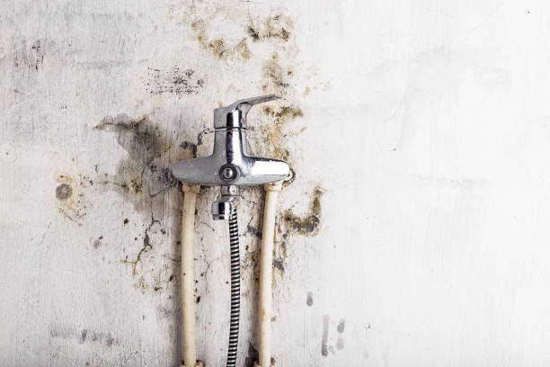 Best Post-Remediation Services in Silver Ridge, NJ