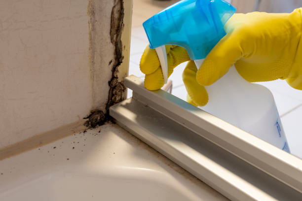 Best HVAC Mold Remediation in Silver Ridge, NJ